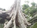 siem-reap-angkor-wat-0608432360