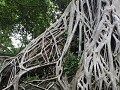 siem-reap-angkor-wat-0608432440