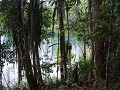 Lake Eacham