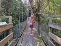  Mc Kenzie river rainforest walk