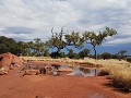  Lungkata walk Uluru, grote plassen na de regenbui