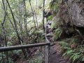 westrim wandeling - Morton NP Fitzroy Falls