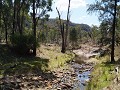  Wambelong nature track - Warrumbungle NP