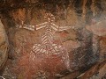 aboriginal rock art bij Nourlangie