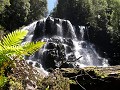 Nelson Falls in Franklin-Gordon Wild Rivers NP