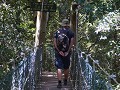 Treetop walk - green mountains Lamington NP