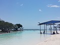 lagoonpool in cairns