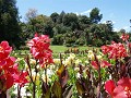 Botanische tuinen in Mebourne