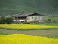  prachtige weidse vlaktes dichtbij Zhongdian