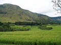 rijden door het mooie landschap van rijstvelden en