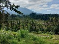  zicht op de vulkaan Gunung Batukaru, de 2e hoogst