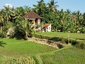 in Ubud zijn er heeel veeel yogastudio's en -retr