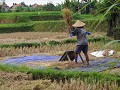 terwijl er even verderop hard wordt gewerkt