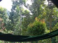 ons terras met hangmat en zicht op de jungle