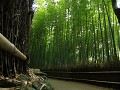 bamboobos in Arashiyama
