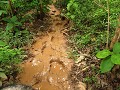 het modderige pad in de jungle,let op de 'kleine' 
