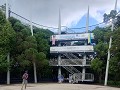 Curtis Crest Treetop walk