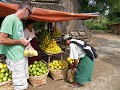 lekker zoete mango's kopen onderweg van Pyin U Lwi