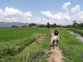 gaan fietsen in Nyaungshwe,tussen de rijstvelden