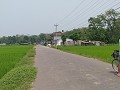 fietsen tussen de rijstvelden