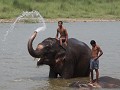  we botsen toevallig op badende olifanten in de Ra