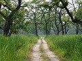 met jeeps trekken we dieper het Chitwan NP in