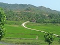 helgroene rijstvelden onderweg