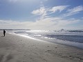Ohiwa beach