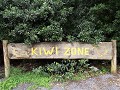  in Kiwiland zijn er 3 soorten kiwi's : het fruit,