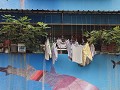  Weiwuying