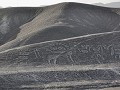 Nazca (6van5): Palpa Lines
