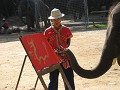 schilderij van de olifant