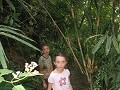 in de jungle...